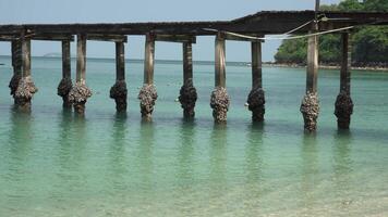 hermosa tropical puente en playa a samed isla , Tailandia video