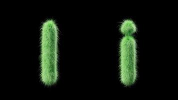 3D animation of a uppercase and lowercase grassy letter I. Sign in the style of field grass. The file contains an Alpha Channel. ProRes4 RGBA video