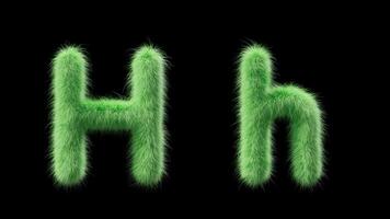 3D animation of a uppercase and lowercase grassy letter H. Sign in the style of field grass. The file contains an Alpha Channel. ProRes4 RGBA video