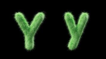 3D animation of a uppercase and lowercase grassy letter Y. Sign in the style of field grass. The file contains an Alpha Channel. ProRes4 RGBA video