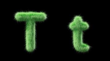 3D animation of a uppercase and lowercase grassy letter T. Sign in the style of field grass. The file contains an Alpha Channel. ProRes4 RGBA video