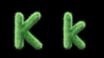 3D animation of a uppercase and lowercase grassy letter K. Sign in the style of field grass. The file contains an Alpha Channel. ProRes4 RGBA video