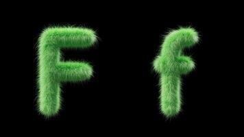 3D animation of a uppercase and lowercase grassy letter F. Sign in the style of field grass. The file contains an Alpha Channel. ProRes4 RGBA video