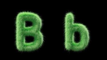 3D animation of a uppercase and lowercase grassy letter B. Sign in the style of field grass. The file contains an Alpha Channel. ProRes4 RGBA video