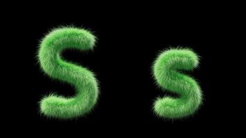 3D animation of a uppercase and lowercase grassy letter S. Sign in the style of field grass. The file contains an Alpha Channel. ProRes4 RGBA video