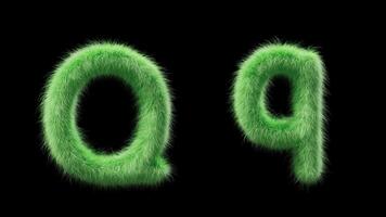 3D animation of a uppercase and lowercase grassy letter Q. Sign in the style of field grass. The file contains an Alpha Channel. ProRes4 RGBA video