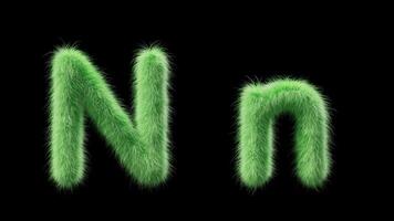 3D animation of a uppercase and lowercase grassy letter N. Sign in the style of field grass. The file contains an Alpha Channel. ProRes4 RGBA video