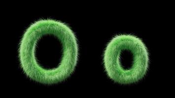 3D animation of a uppercase and lowercase grassy letter O. Sign in the style of field grass. The file contains an Alpha Channel. ProRes4 RGBA video