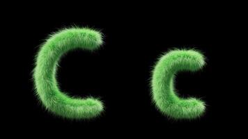 3D animation of a uppercase and lowercase grassy letter C. Sign in the style of field grass. The file contains an Alpha Channel. ProRes4 RGBA video