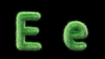 3D animation of a uppercase and lowercase grassy letter E. Sign in the style of field grass. The file contains an Alpha Channel. ProRes4 RGBA video