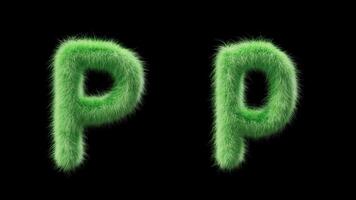 3D animation of a uppercase and lowercase grassy letter P. Sign in the style of field grass. The file contains an Alpha Channel. ProRes4 RGBA video