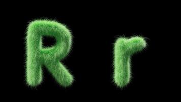 3D animation of a uppercase and lowercase grassy letter R. Sign in the style of field grass. The file contains an Alpha Channel. ProRes4 RGBA video