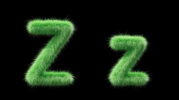 3D animation of a uppercase and lowercase grassy letter Z. Sign in the style of field grass. The file contains an Alpha Channel. ProRes4 RGBA video