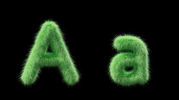 3D animation of a uppercase and lowercase grassy letter A. Sign in the style of field grass. The file contains an Alpha Channel. ProRes4 RGBA video