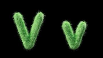 3D animation of a uppercase and lowercase grassy letter V. Sign in the style of field grass. The file contains an Alpha Channel. ProRes4 RGBA video