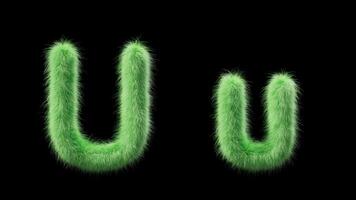 3D animation of a uppercase and lowercase grassy letter U. Sign in the style of field grass. The file contains an Alpha Channel. ProRes4 RGBA video