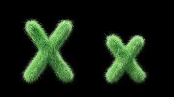 3D animation of a uppercase and lowercase grassy letter X. Sign in the style of field grass. The file contains an Alpha Channel. ProRes4 RGBA video