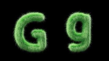 3D animation of a uppercase and lowercase grassy letter G. Sign in the style of field grass. The file contains an Alpha Channel. ProRes4 RGBA video