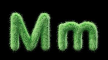 3D animation of a uppercase and lowercase grassy letter M. Sign in the style of field grass. The file contains an Alpha Channel. ProRes4 RGBA video