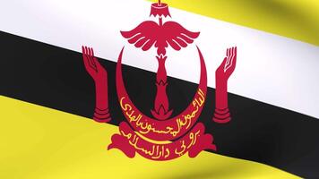 Waving flag of Brunei Animation 3D render Method video