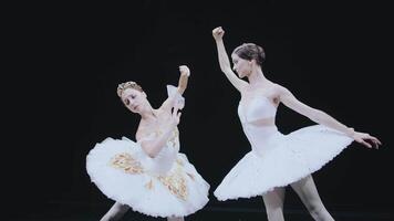 Ballet. Two ballerinas are standing in a beautiful pose. 3D. Bayadere. Rivalry and confrontation of ballerinas. video