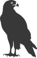 AI generated Silhouette hawk animal black color only full body vector