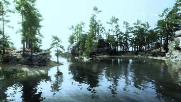 lugn berg reträtt, med en skimrande sjö och frodig grönska video