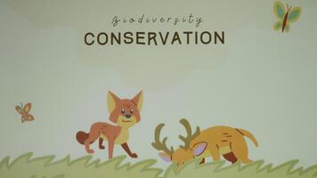 Biodiversity Conservation inscription. Graphic presentation with animated wild animals eating grass. Environment concept video