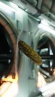 marinated pickled cucumber floating in internation space station video