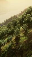 Scenic countryside landscape with green summer mountain valley and forests video