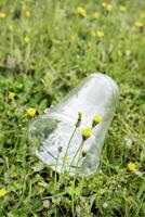 Plastic cup on the grass photo