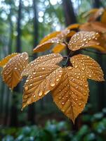 ai generado lustroso empapado de lluvia hojas en un bosque foto