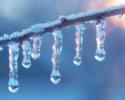 AI Generated Frozen icicles hanging from a branch photo