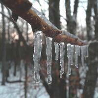 AI Generated Frozen icicles hanging from a branch photo