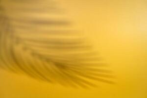 Abstract beach with paper sand palm shadow photo