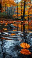 AI Generated Ripples on a serene pond surface touched by falling autumn leaves photo