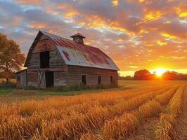 ai generado rústico granero en un dorado campo a puesta de sol foto