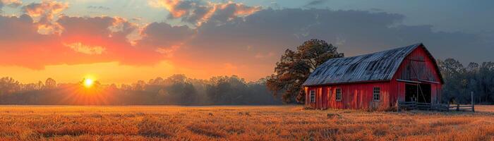 AI Generated Rustic barn in a golden field at sunset photo