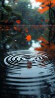 AI Generated Ripples on a serene pond surface touched by falling autumn leaves photo