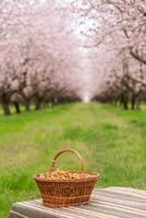 Almond nuts in a basket on a wooden background. photo