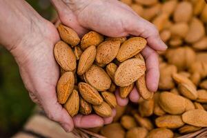 almendra nueces en un cesta en un de madera antecedentes. foto