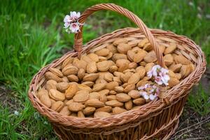 Almond nuts in a basket on a wooden background. photo