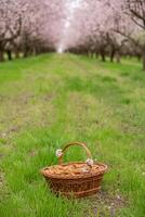 almendra nueces en un cesta en un de madera antecedentes. foto