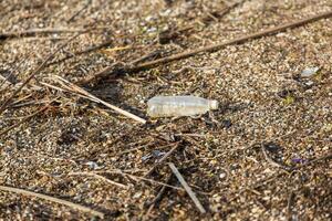 Plastic bottle on the shore of the lake. Environmental pollution. Plastic waste on the beach. photo