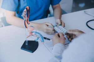 Doctor uses anatomical model to explain male urinary system. Model labeled with parts, doctor points and explains how they work together for urinary function, ensuring patient comprehension. photo