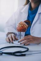 Doctor explaining heart to elderly patient. Doctor explaining the heart model. Doctors pen point to a model of the heart photo