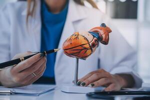 Doctor explaining heart to elderly patient. Doctor explaining the heart model. Doctors pen point to a model of the heart photo
