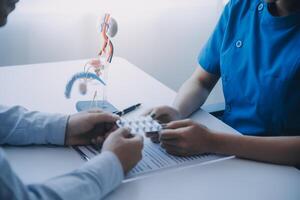 Doctor uses anatomical model to explain male urinary system. Model labeled with parts, doctor points and explains how they work together for urinary function, ensuring patient comprehension. photo