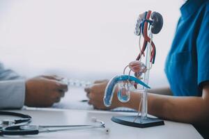 Doctor uses anatomical model to explain male urinary system. Model labeled with parts, doctor points and explains how they work together for urinary function, ensuring patient comprehension. photo