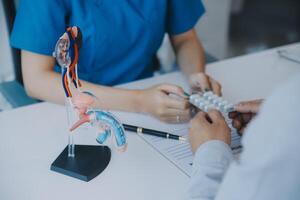 Doctor uses anatomical model to explain male urinary system. Model labeled with parts, doctor points and explains how they work together for urinary function, ensuring patient comprehension. photo